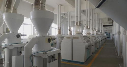 鄉(xiāng)村振興進行時 多措并舉促就業(yè)，精準服務暖民心，文藝創(chuàng)作煥活力